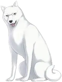 保罗·奇内奇塔·朱尼尔
