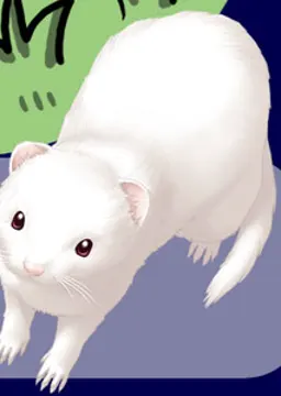 くっきー