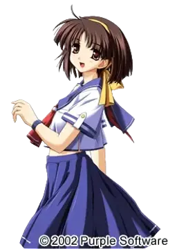 有賀美樹
