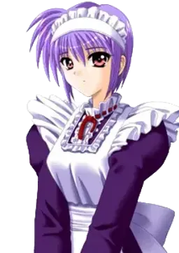 ノエル＝エーアリヒカイト