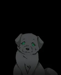 シュウ