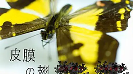 皮膜の翅