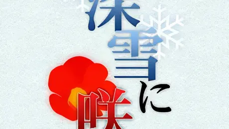 深雪に咲く