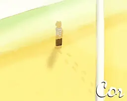 Cor
