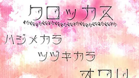 クロッカス