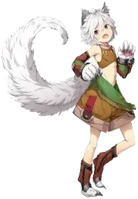 波奇