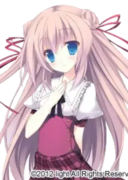 橘姫花
