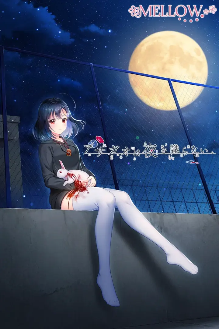 アサガオは夜を識らない。