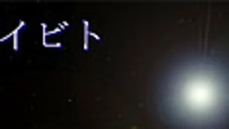 アラガイビト
