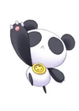 帕奇