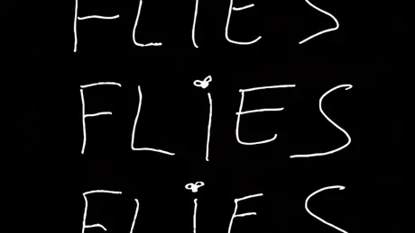 FLIES FLIES FLIES