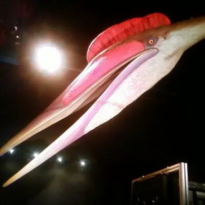 日野 光里