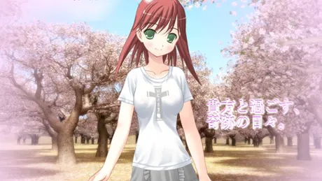 miracledays