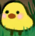 ひよこ