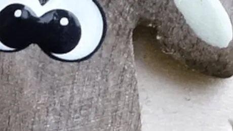 The Sheep that wanted to fly