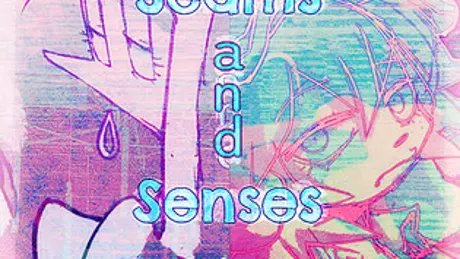 Seams and Senses