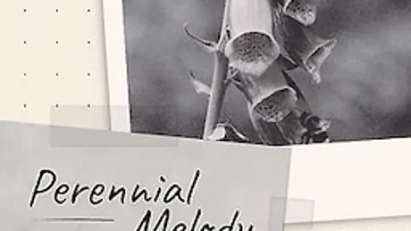 Perennial Melody