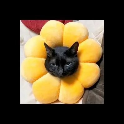ブッチャーU