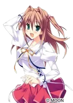 宮崎 由紀菜