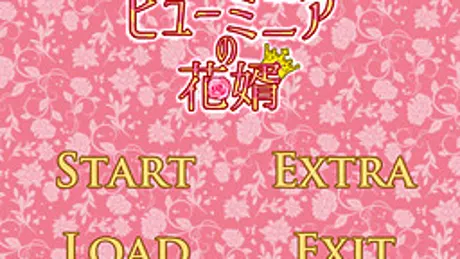 ヒューミニアの花婿