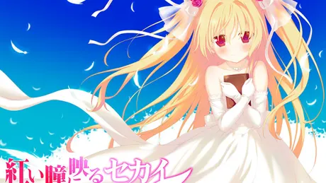 Series Banner 3