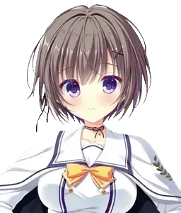 八坂 可子