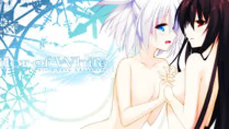 Series Banner 2