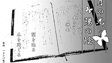 月の光、陽の陰