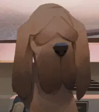 科尔比
