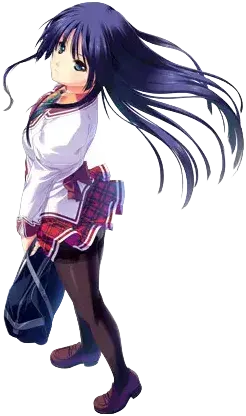 坂之上未奏