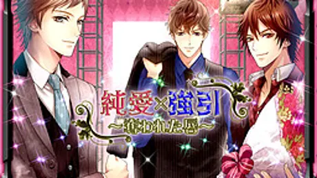 純愛×強引～奪われた唇～