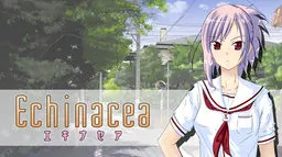 Echinacea ～エキナセア～