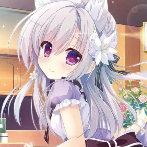 夏风雨茶