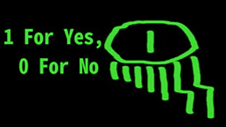 1 For Yes, 0 For No