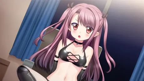 さっきゅばすComing！　～エロ文化がすごいと聞いて異世界からやってきました～