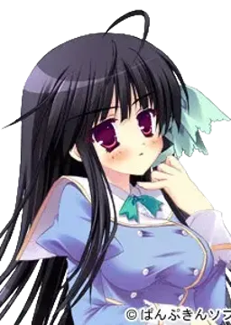 景近帆希