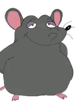 The Rat