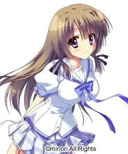 菱田菖蒲