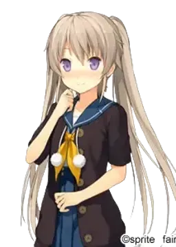 有坂 真白