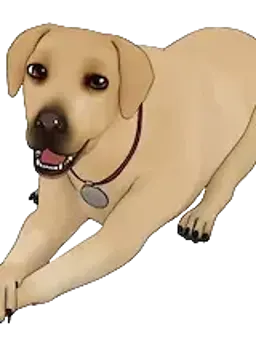 Riley