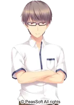 柳爽史