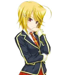 九条翼