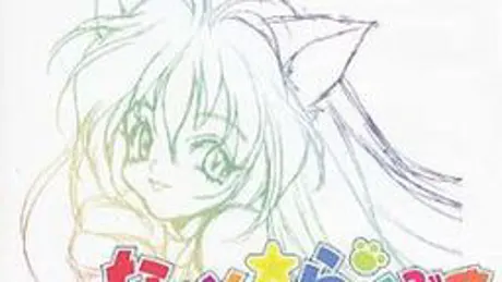 ないん☆らいぶす 〜はニャ札するにゃん！〜