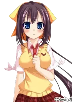 朝倉 枝織