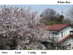 White Box