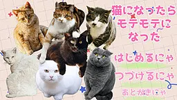 猫になったらモテモテになった