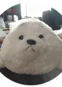 怡安