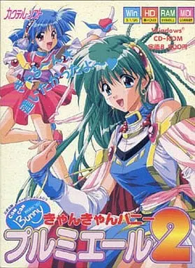 きゃんきゃんバニー プルミエール2