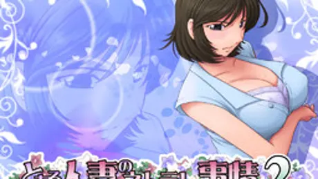 とある人妻のネトラレ事情 2