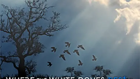 Where the White Doves Rest